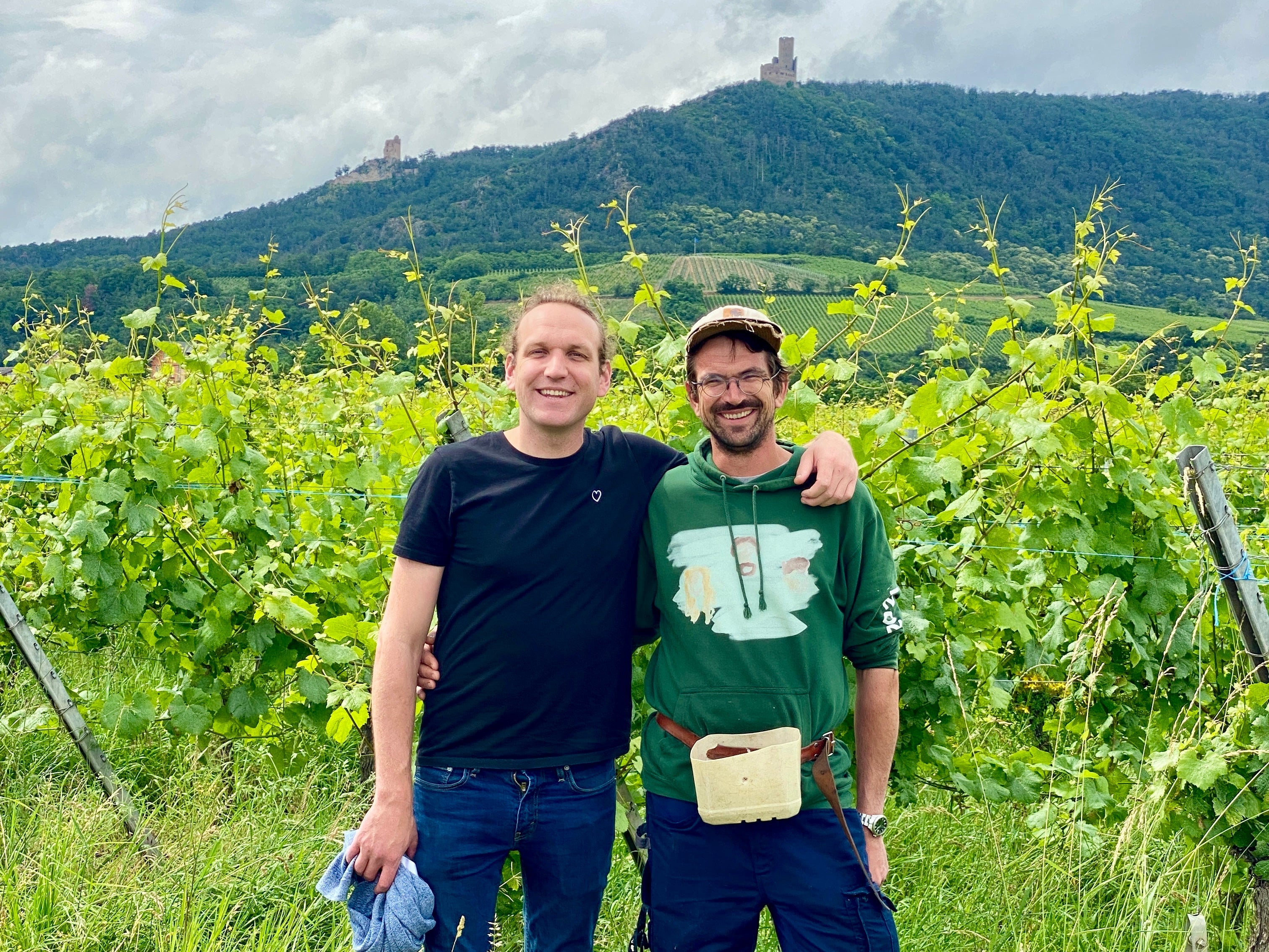 Domaine Achillée – LX Wine