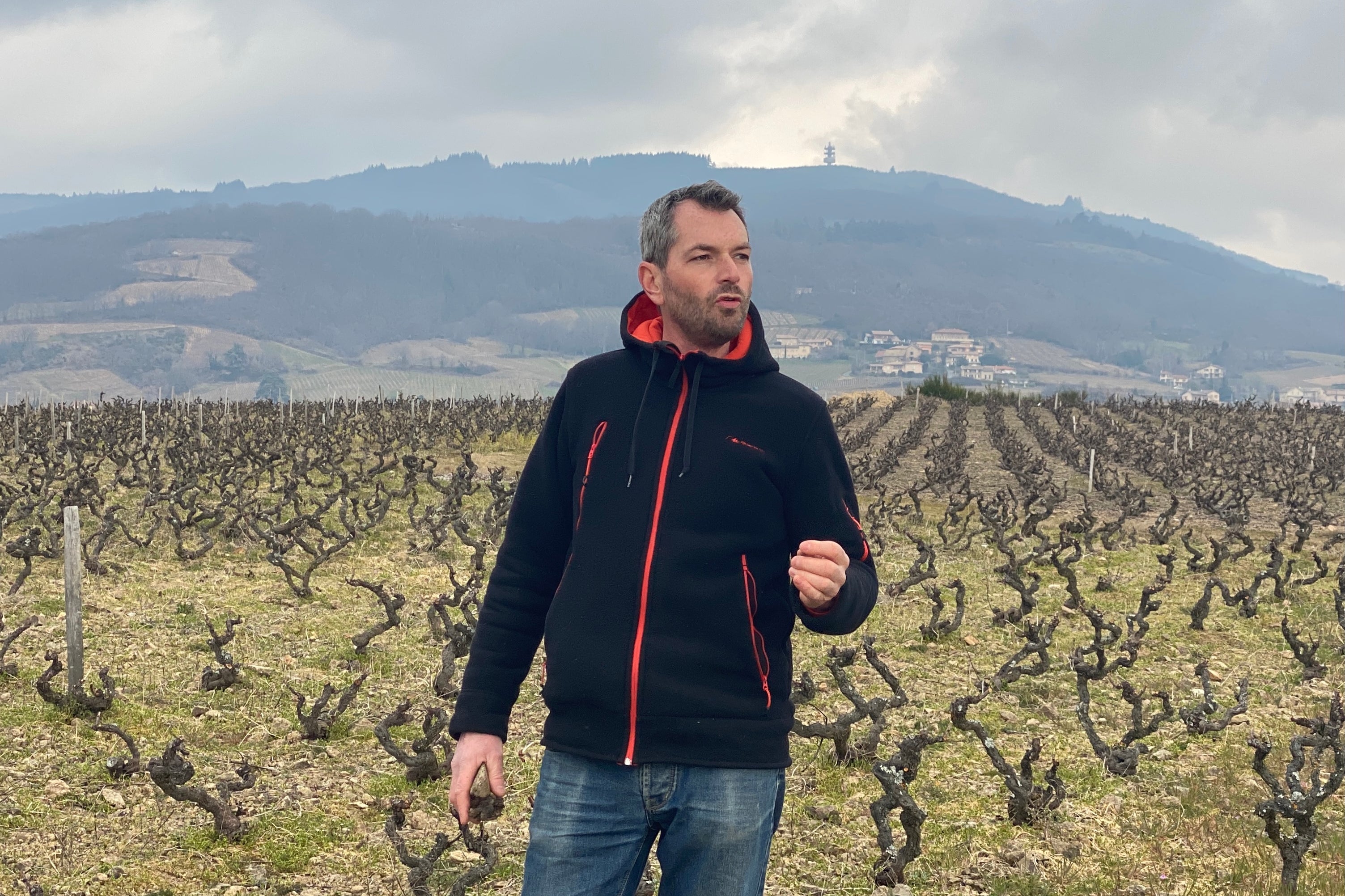Domaine Antoine Sunier