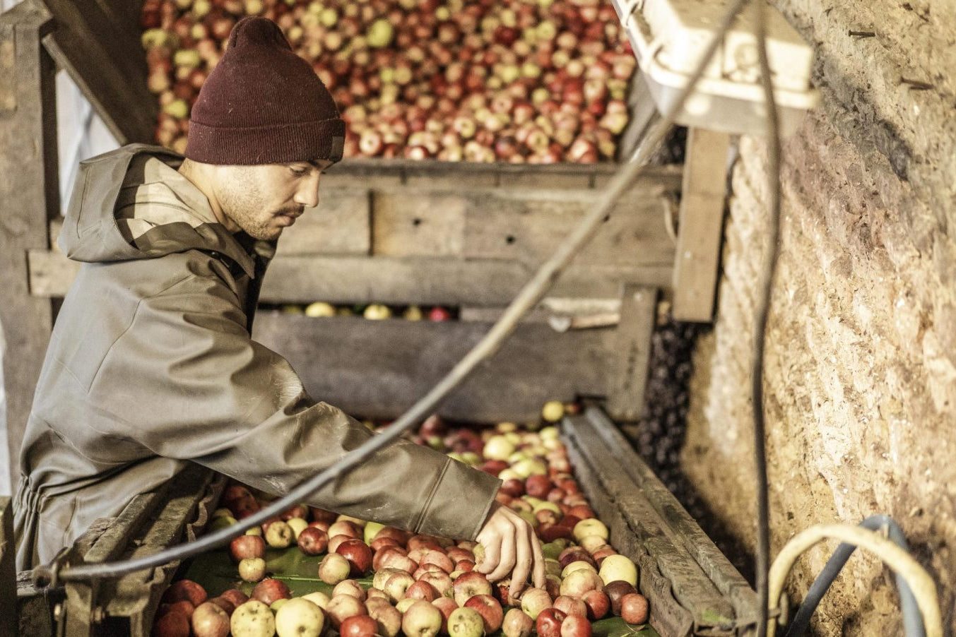 Domaine Cyprien Lireux