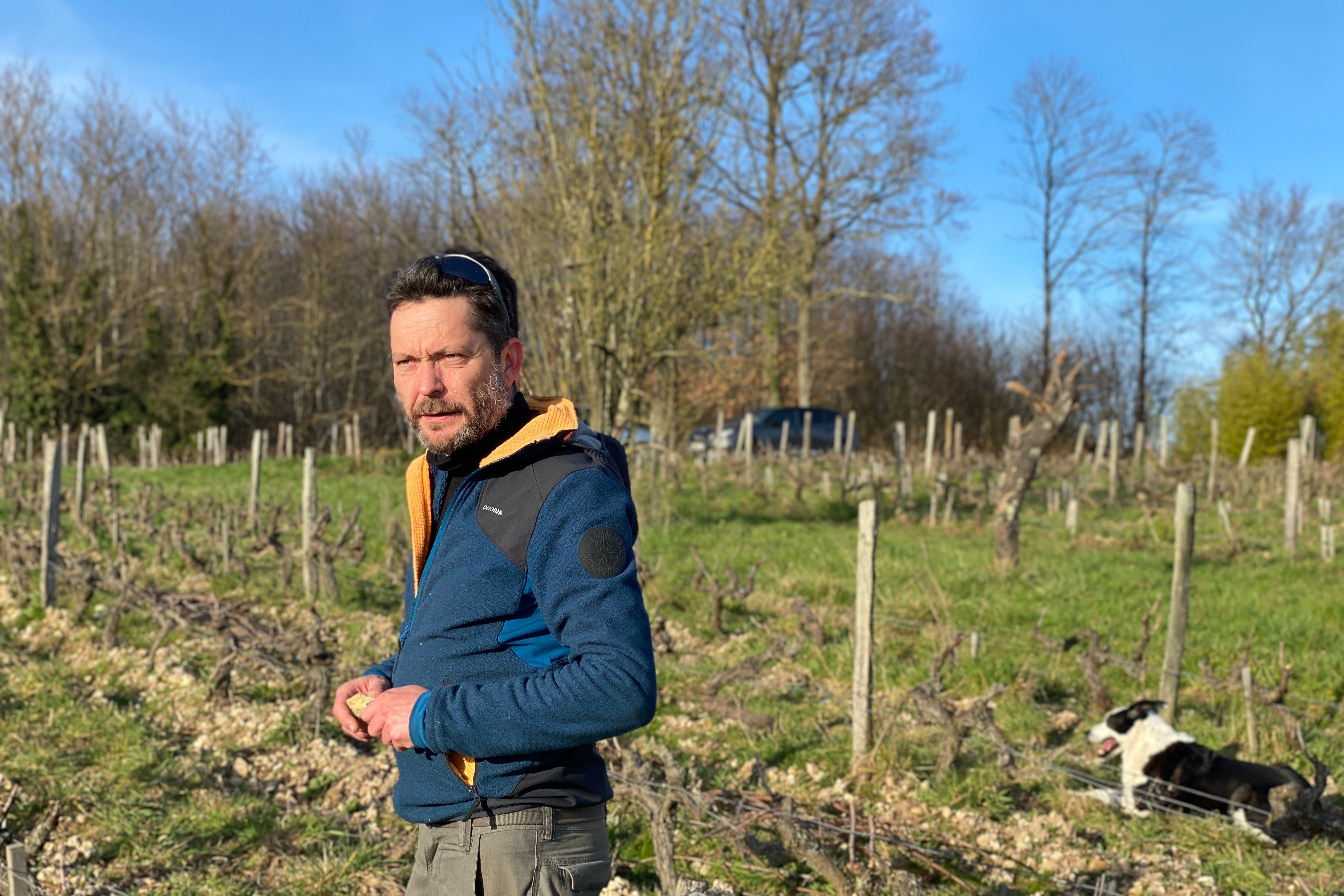 Domaine de la Roche Bleue