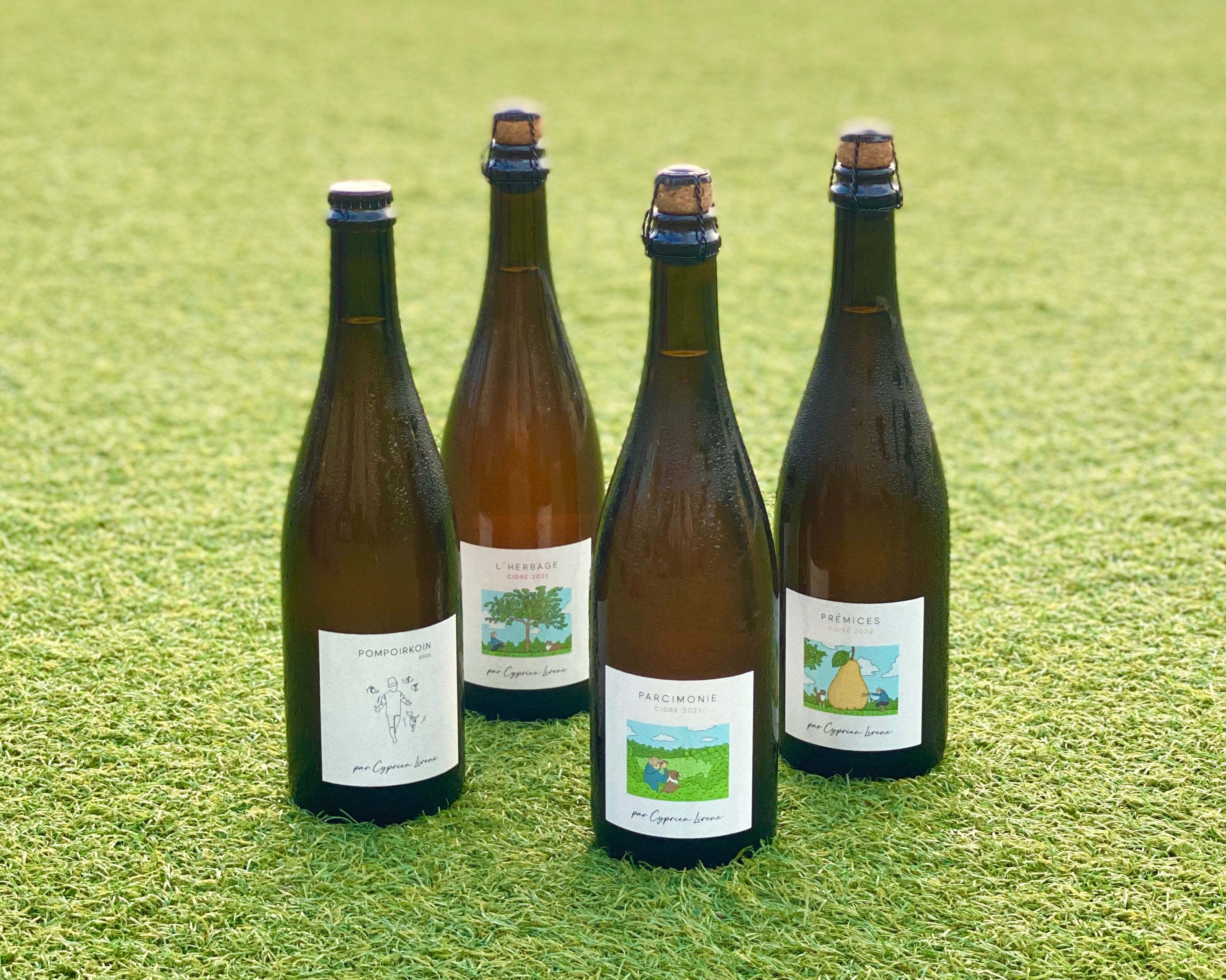LX Wine