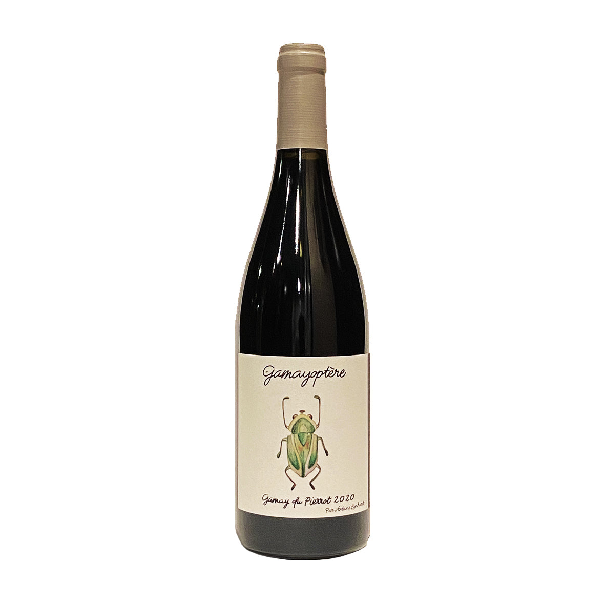 (未使用･未開封品)　Back to Burgundy [Region 2] wyeba8q $_57.JPG?set_id=880000500F